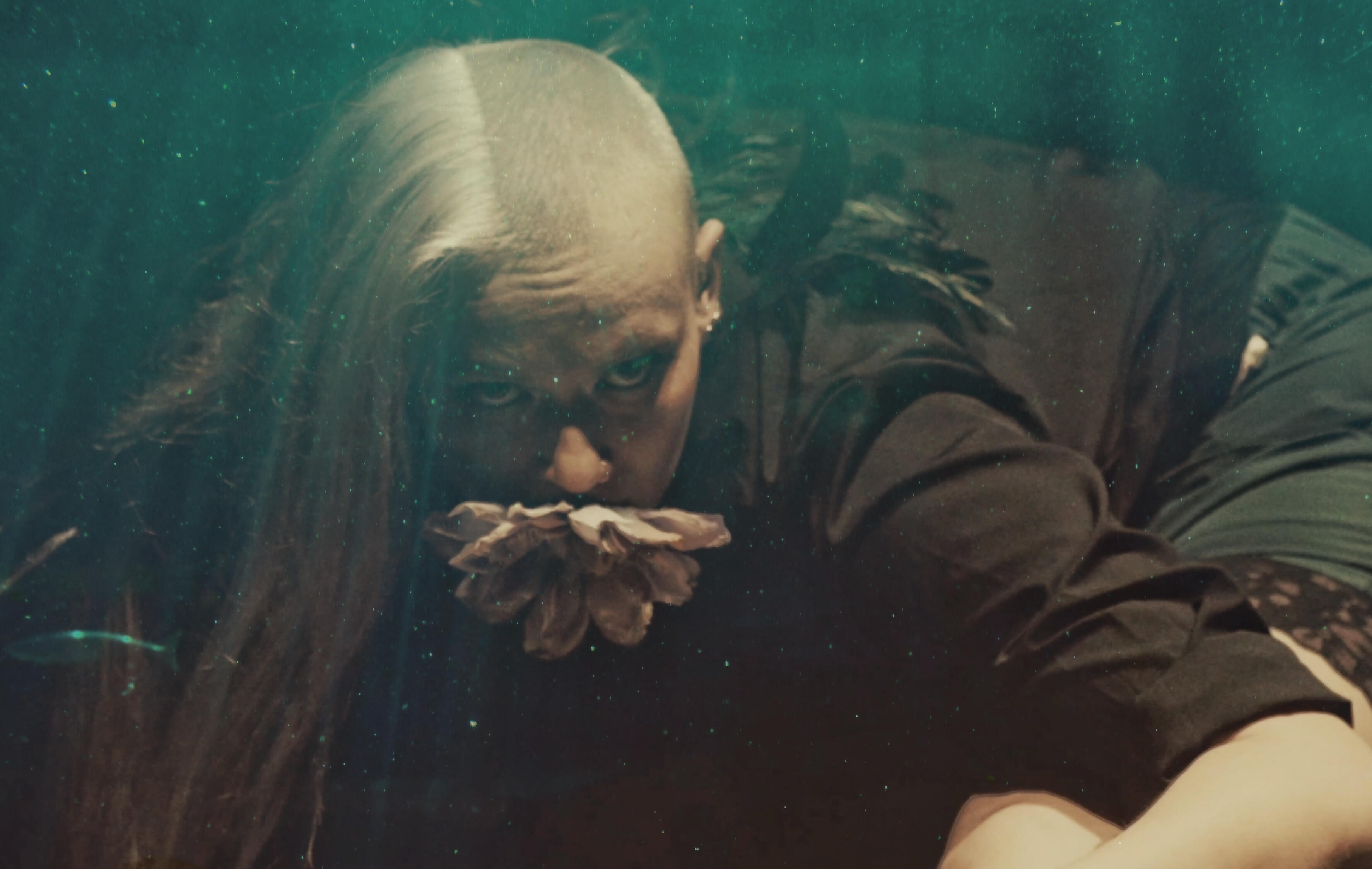 Stevie Lamblin Ghost Shark Stevie Lamblin - Ghost Shark