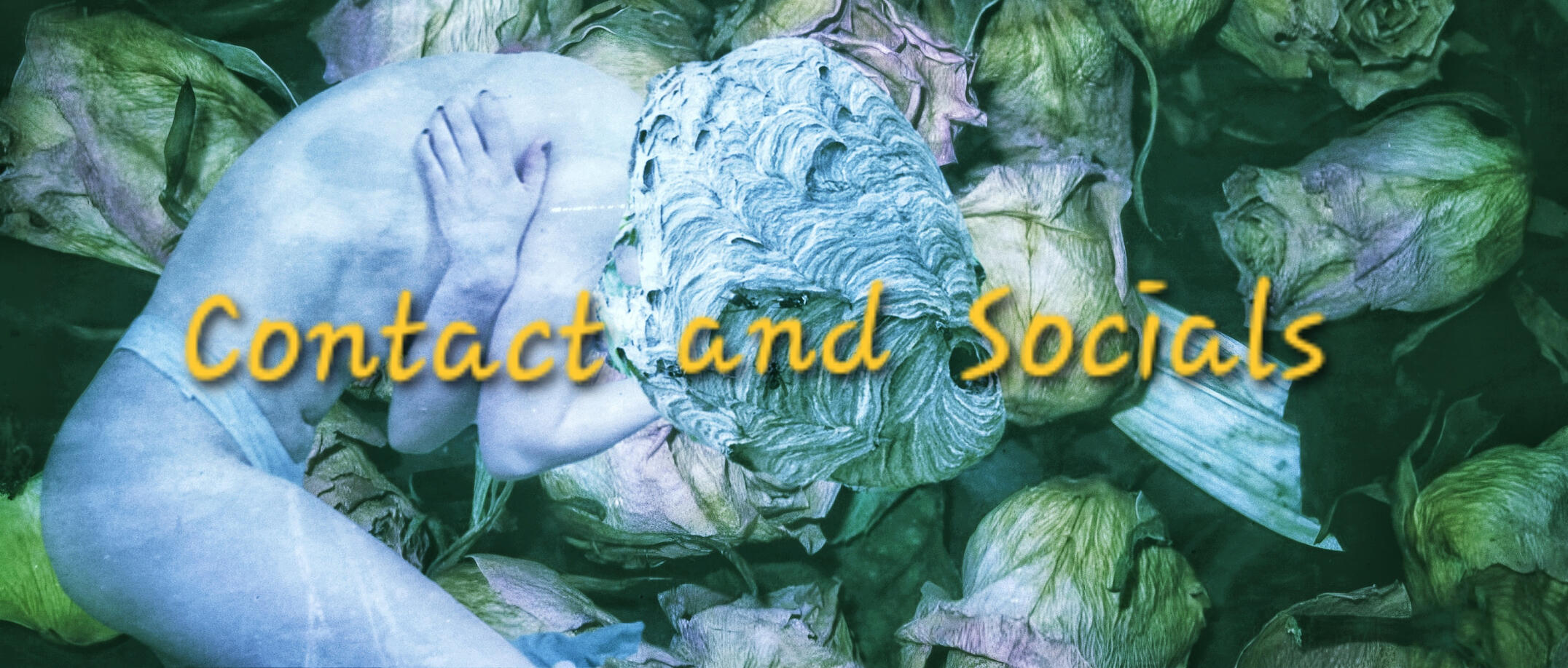 Headshot Welcome to my portfolio! My name's Stevie. I'm a non-binary choreographer, movement artist, and licensed therapist. I most recently have expanded into screen dance, creative direction, and production design. This portfolio includes work from all of my disc