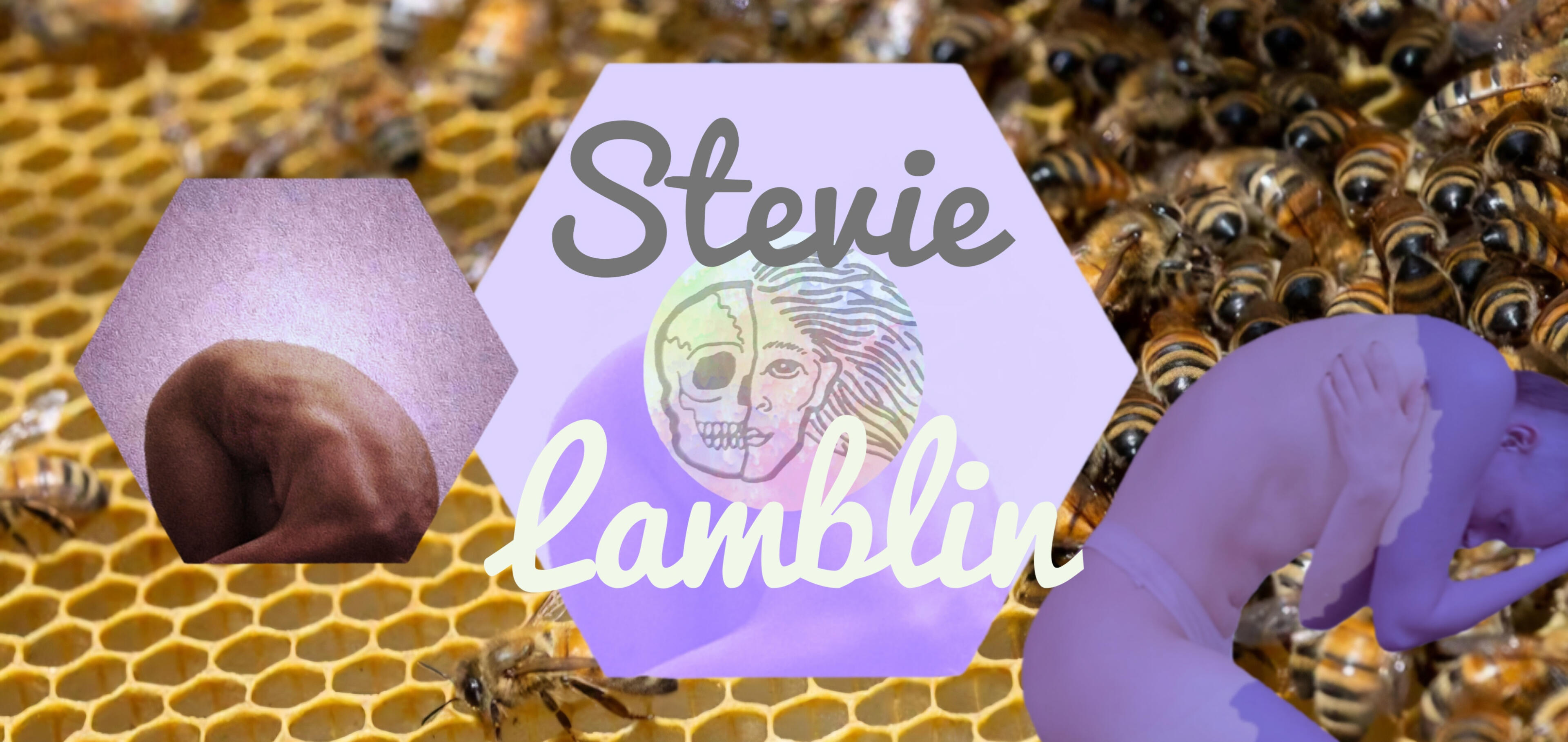 Headshot Welcome to my portfolio! My name's Stevie. I'm a non-binary choreographer, movement artist, and licensed therapist. I most recently have expanded into screen dance, creative direction, and production design. This portfolio includes work from all of my disc