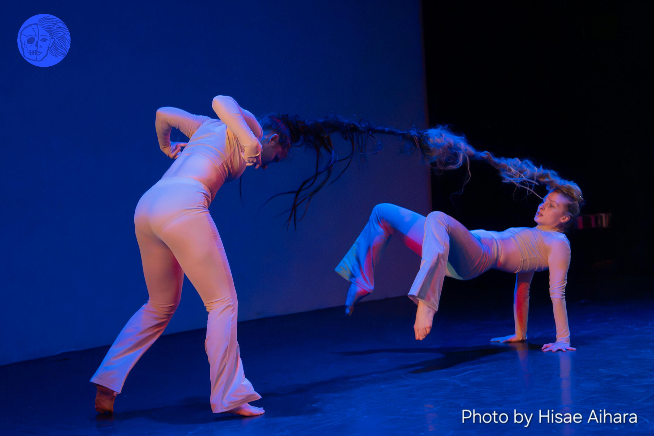 Welcome to my portfolio! My name's Stevie. I'm a non-binary choreographer, movement artist, and licensed therapist. I most recently have expanded into screen dance, creative direction, and production design. This portfolio includes work from all of my disc